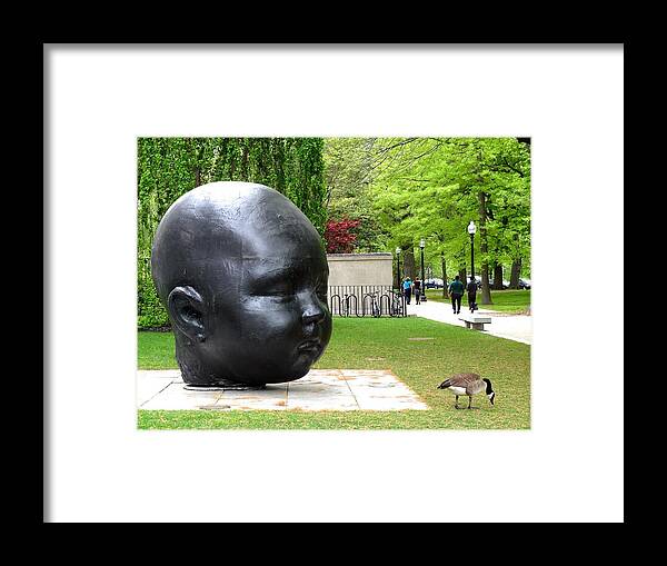 Art Framed Print featuring the photograph Curiosity by Christopher Brown