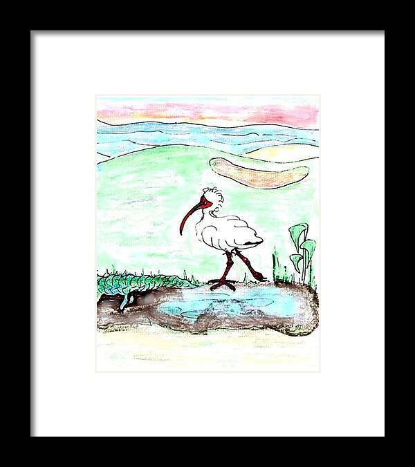 Ibis Framed Print featuring the drawing Curious ibis stands by by Carol Allen Anfinsen