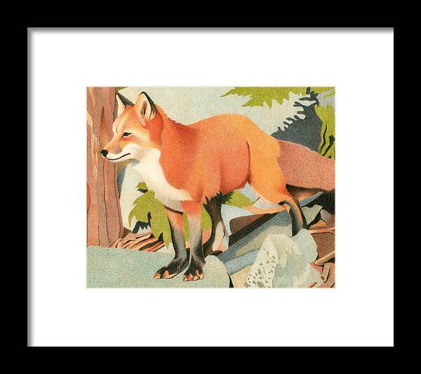 Art Framed Print featuring the drawing Curious Red Fox by Dan Miller
