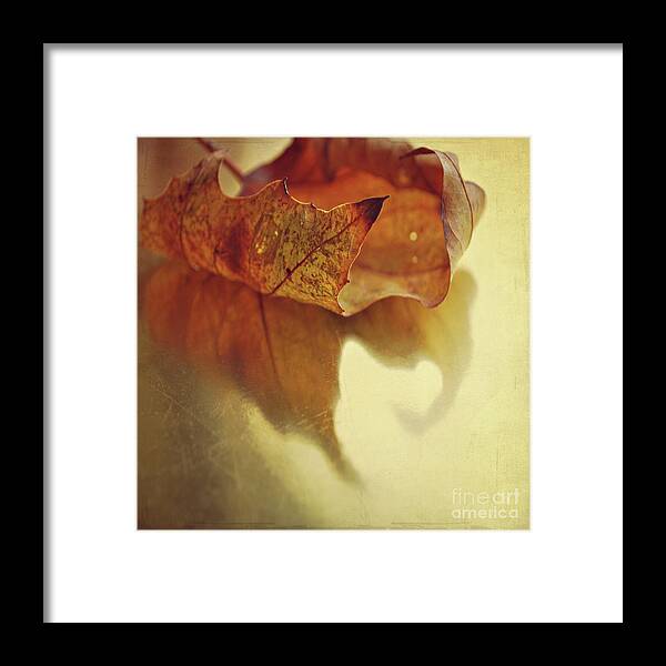 Leaf Framed Print featuring the photograph Curled Autumn Leaf by Lyn Randle