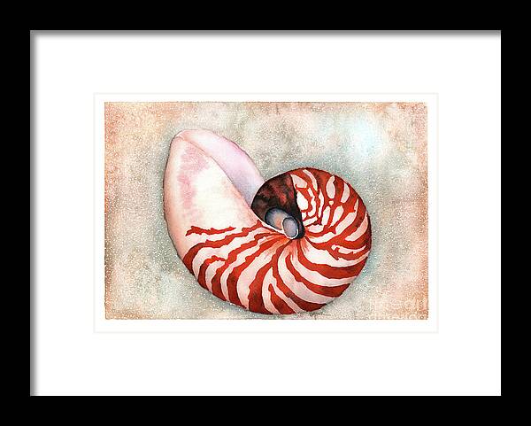 Nautilus Framed Print featuring the painting Curled Nautilus by Hilda Wagner