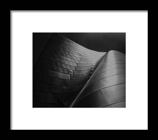 Frank Gehry Framed Print featuring the photograph Curves Frank Gehry AIA by Chuck Kuhn