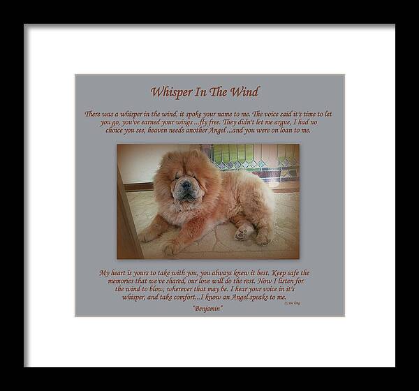 Quote Framed Print featuring the photograph Custom Paw Print Benjamin by Sue Long