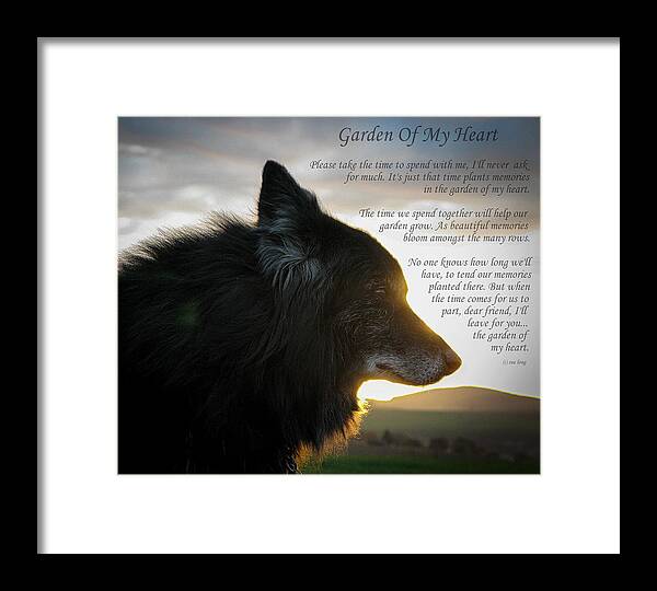 Quote Framed Print featuring the photograph Custom Paw Print Garden Of My Heart by Sue Long