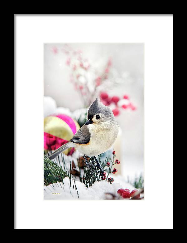 Bird Framed Print featuring the photograph Cute Winter Bird - Tufted Titmouse by Christina Rollo
