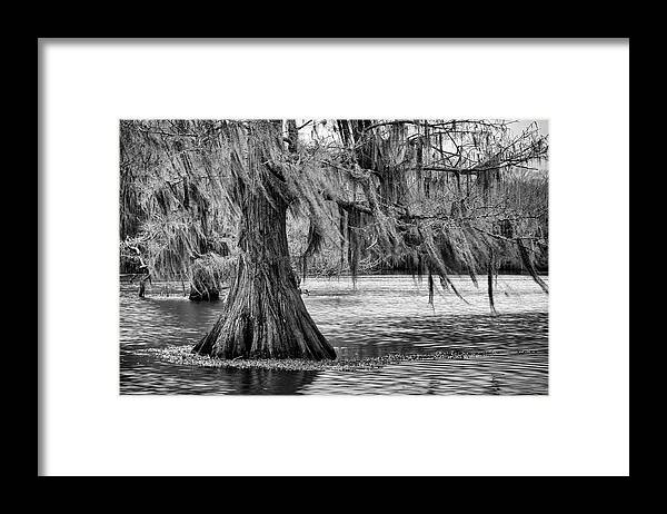 Cypress Framed Print featuring the photograph Cypress at Caddo Lake by Mary Lee Dereske