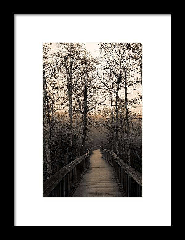Cypress Framed Print featuring the photograph Cypress Boardwalk by Gary Dean Mercer Clark