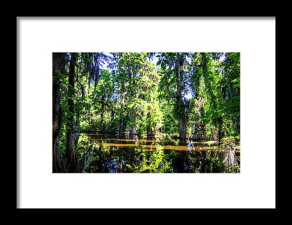 Color Framed Print featuring the photograph Cypress Pond -1 by Alan Hausenflock