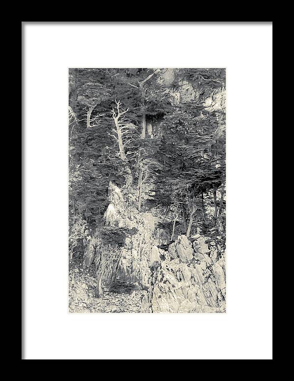 Cypress Framed Print featuring the digital art Cypress Strewn Cliff, Carmel Bay, Point Lobos, State Park Carmel, California by Kathy Anselmo