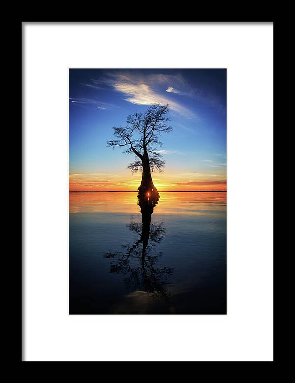 Tree Framed Print featuring the photograph Cypress Sunset Reflection by Alan Raasch