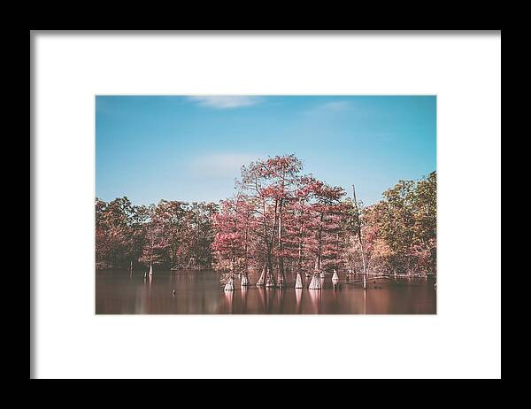 Louisiana Framed Print featuring the photograph Cypress trees in Lake by Mati Krimerman
