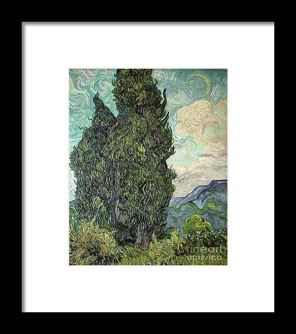 Cypresses Framed Print featuring the painting Cypresses by Vincent Van Gogh