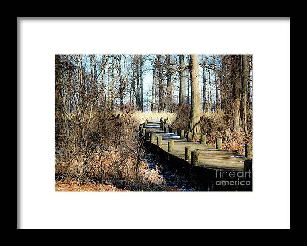 Reelfoot Lake Framed Print featuring the photograph Cyprus Pier Reelfoot Lake by Veronica Batterson