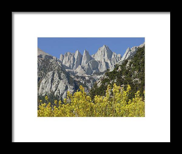 D2m6450 Framed Print featuring the photograph D2M6450 Mt. Whitney and Rabbit Brush by Ed Cooper Photography