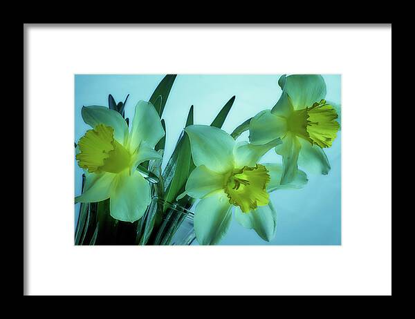 Daffodils Framed Print featuring the photograph Daffodils2 by Loni Collins
