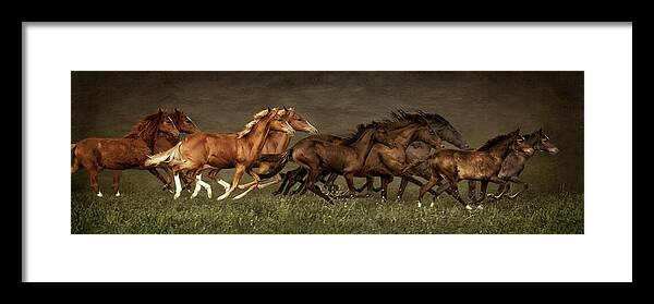 Horses Framed Print featuring the digital art Daily Double by Priscilla Burgers