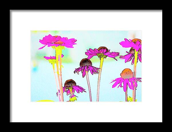 High Contrast Daises Framed Print featuring the photograph Daises1 by Craig Perry-Ollila