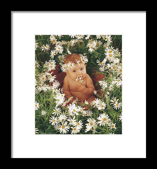 Daisies Framed Print featuring the photograph Daisies by Anne Geddes