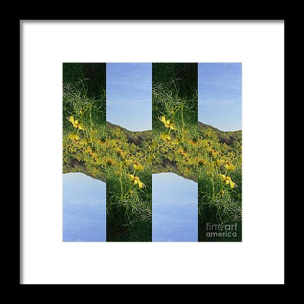 Daisy Framed Print featuring the photograph Daisy Fields by Nora Boghossian