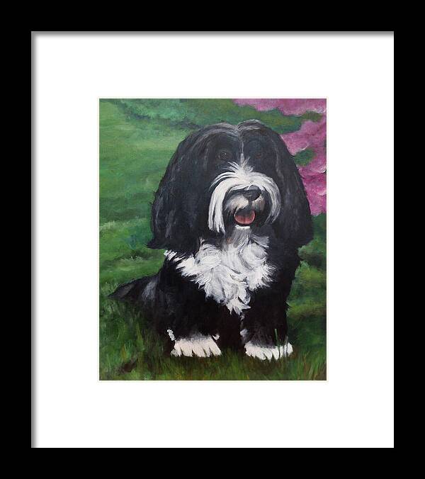 Tibetan Terrier Framed Print featuring the painting Dali by Carol Russell