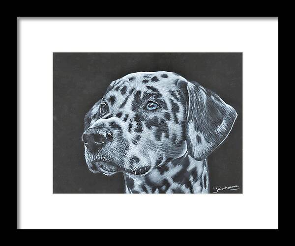 Dalmation Framed Print featuring the painting Dalmation Portrait by John Neeve