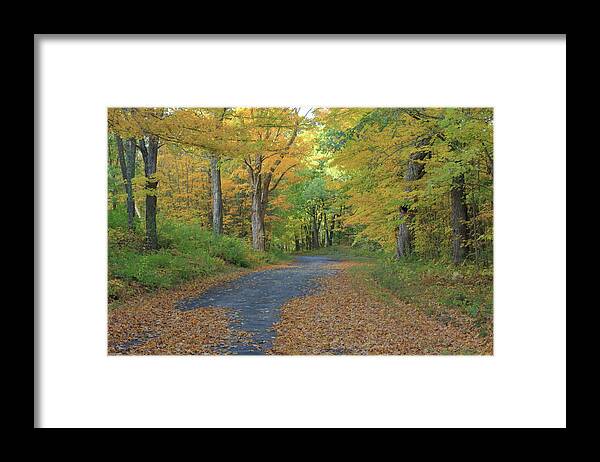Autumn Framed Print featuring the photograph Dana Common Road in Autumn Quabbin Reservoir by John Burk