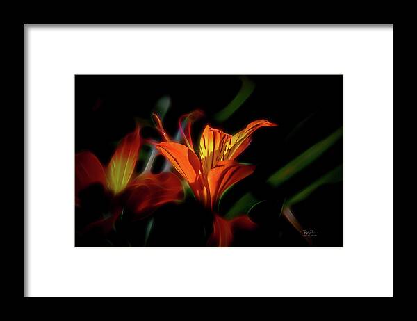 Nature Framed Print featuring the photograph Dana's early dream by Bill Posner