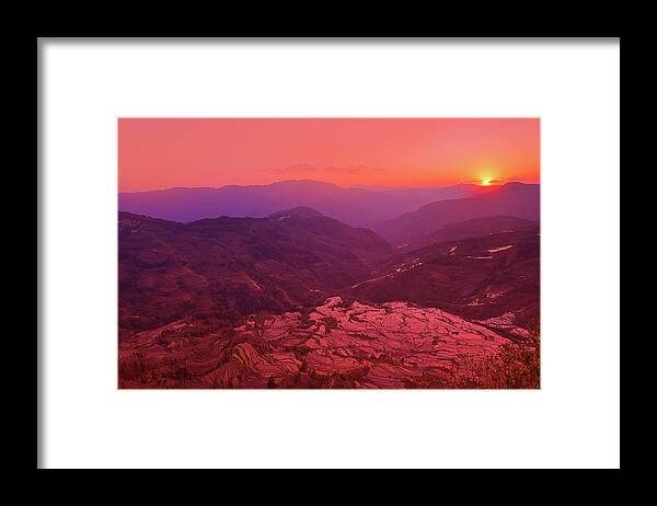 Yuanyang Framed Print featuring the photograph Dance Of Pink by Midori Chan