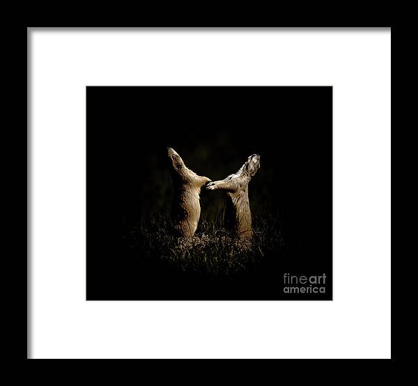 Dance Framed Print featuring the photograph Dancing In The Moonlight by Robert Frederick