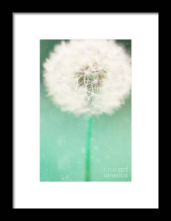 Dandelion Framed Print featuring the photograph Dandelion Seed by Kim Fearheiley