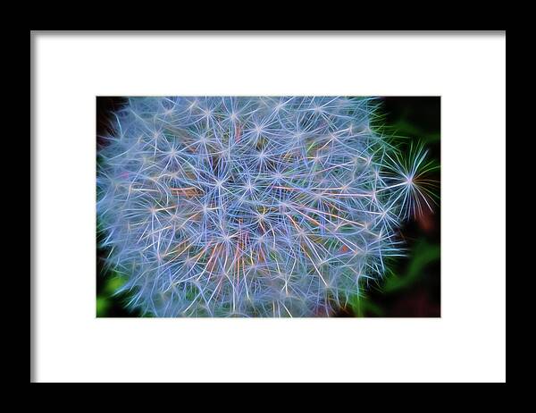 Abstract Framed Print featuring the photograph Dandy by Cathy Kovarik