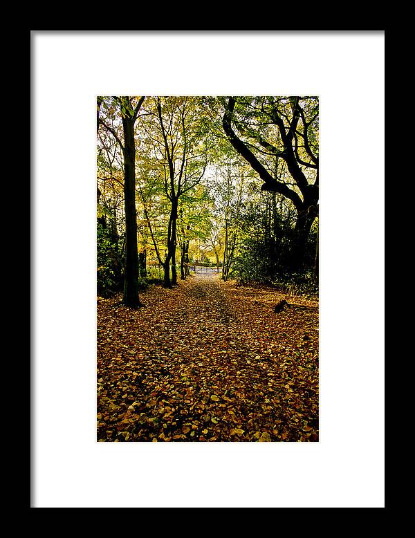 Alley Framed Print featuring the photograph Dark alley and sunlit foliage. by Elena Perelman