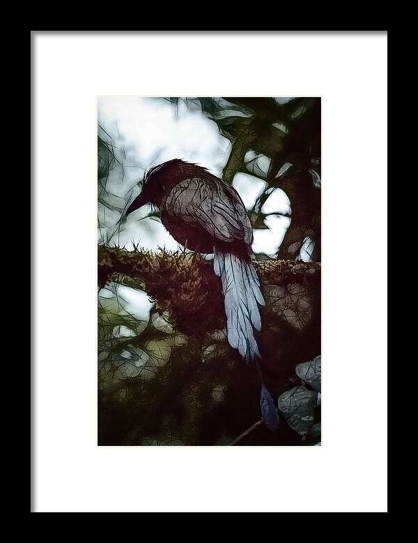 Bird Framed Print featuring the photograph Dark Barranquero Andean Motmot Palacio del Barbas Filandia Quind by Adam Rainoff