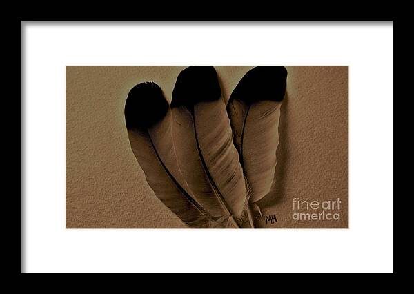 Photo Framed Print featuring the photograph Dark Feathers by Marsha Heiken