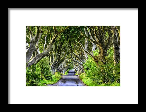 Ireland Framed Print featuring the photograph Dark Hedges by Joe Ormonde