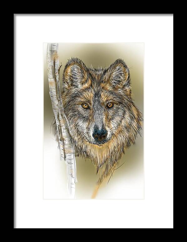 Wolf Framed Print featuring the digital art Dark Wolf with Birch by Darren Cannell
