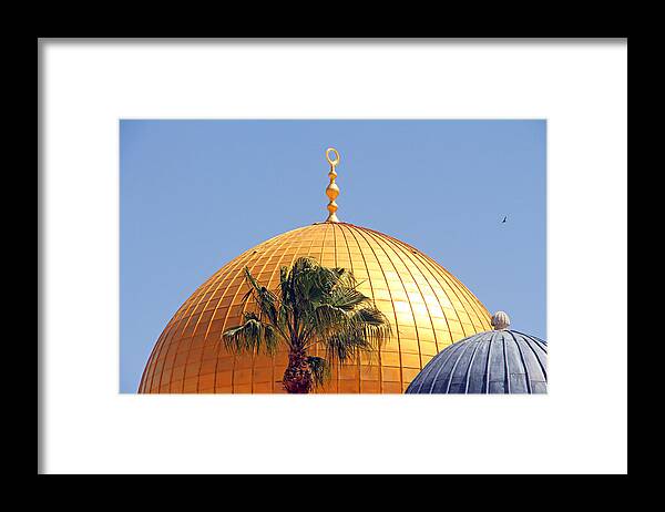Dome Of The Rock Framed Print featuring the photograph Dates Tree by Munir Alawi