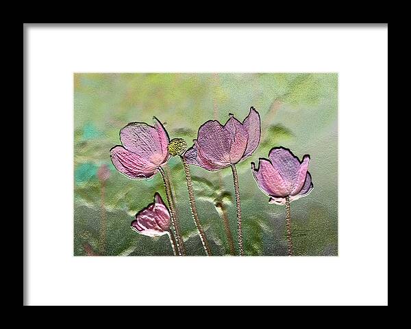 Windflower Framed Print featuring the photograph Daughter of the Wind by Barbara White