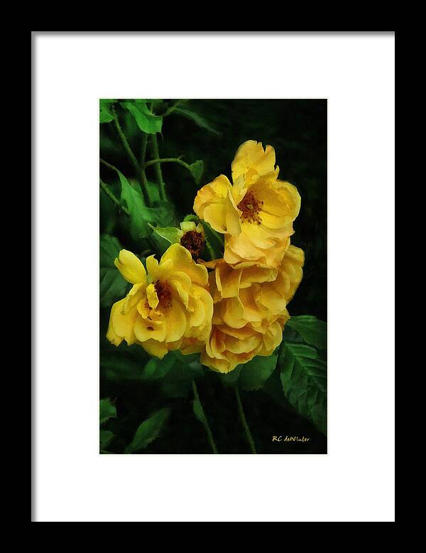 Roses Framed Print featuring the painting Daughters of Helios by RC DeWinter