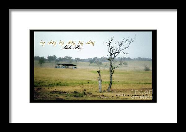 Vicki Ferrari Photography Framed Print featuring the photograph Day By Day Make Hay by Vicki Ferrari
