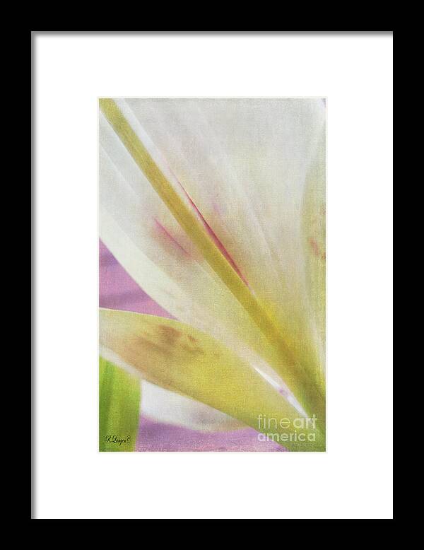 Lily Framed Print featuring the photograph Daylily by Rebecca Langen