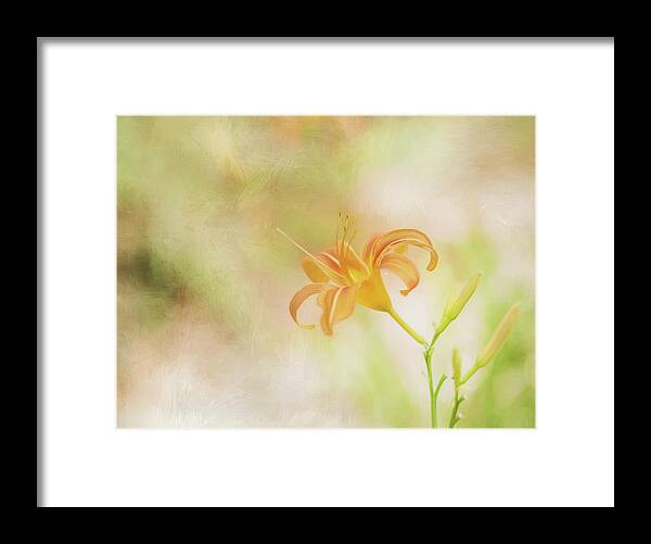 2017 Framed Print featuring the photograph Daylily by Wade Brooks
