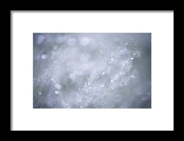 Jenny Rainbow Fine Art Photography Framed Print featuring the photograph Dazzling Silver World by Jenny Rainbow
