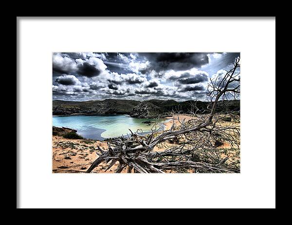 Outdoor Framed Print featuring the photograph Dead Nature Under Stormy Light In Mediterranean Beach by Pedro Cardona Llambias