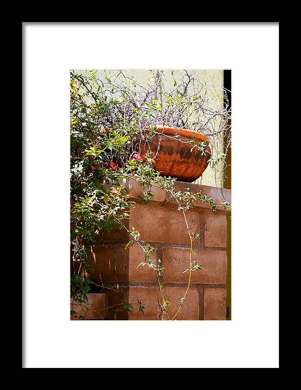 Brick Framed Print featuring the photograph Dead or Alive by Bob Gardner