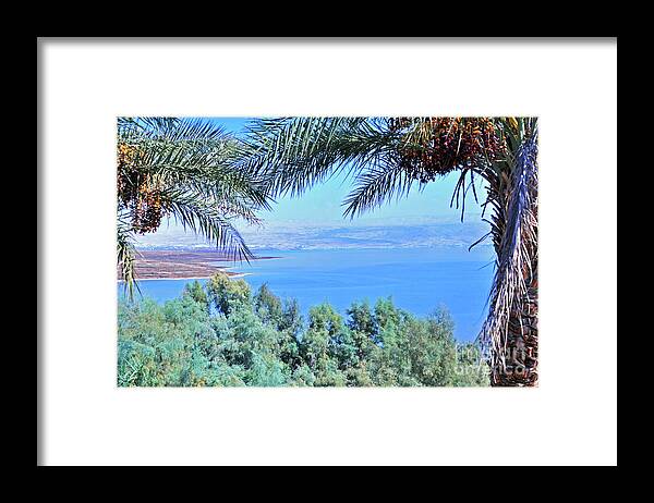 Dead Sea Framed Print featuring the photograph Dead Sea Overlook by Lydia Holly