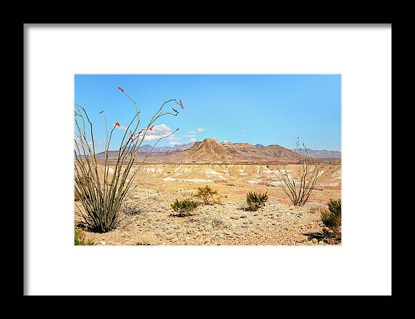 Big Bend National Park Framed Print featuring the photograph Dead Sticks Bloom by Sylvia J Zarco