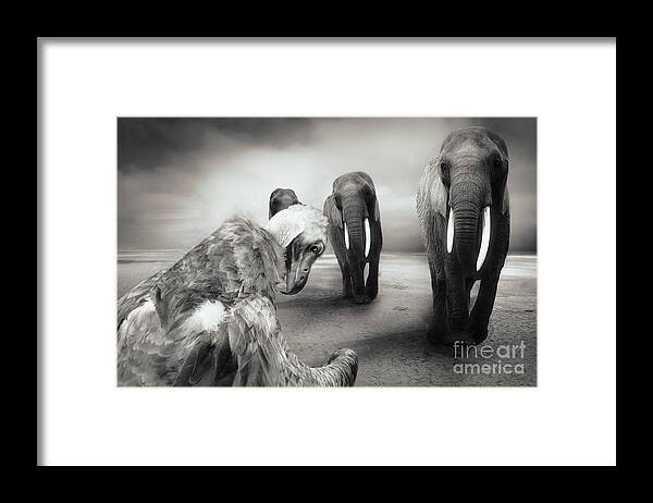 Elephants Framed Print featuring the photograph Death List by Christine Sponchia