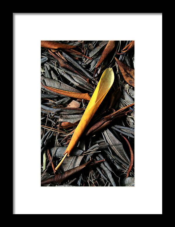 Decay Framed Print featuring the digital art Decay by Julian Perry