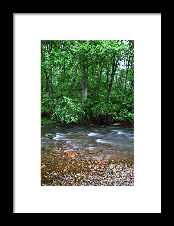 Maryland Framed Print featuring the photograph Deciduous Woodland and the Patapsco River Maryland by James Brunker